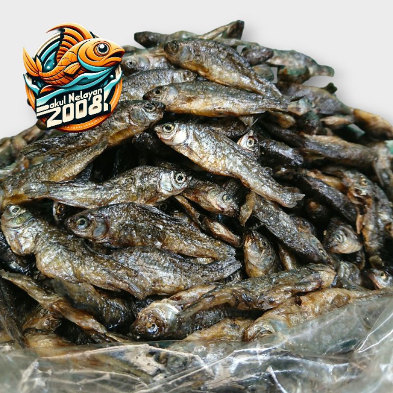 

Ikan bilih goreng | ikan danau