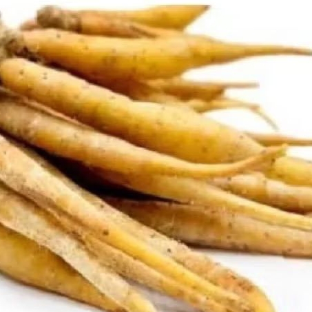 

Temu kunci temu herbal alami