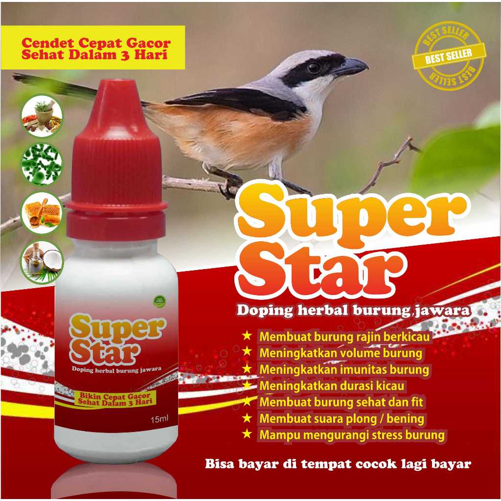 superstar vit spesial cendet jadi sehat gacor