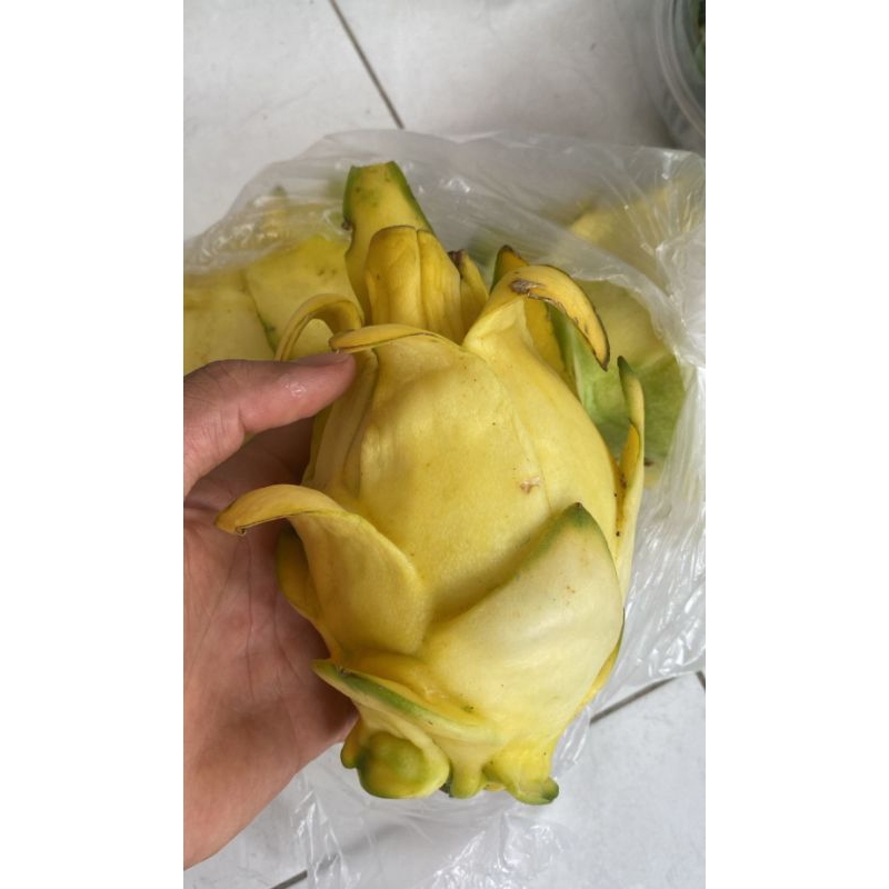 

Buah Naga Kuning Lokal Super / Buah Naga Kuning / 1 Kg