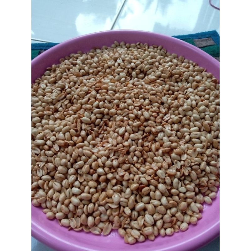 

Kacang Bawang 1 Kg