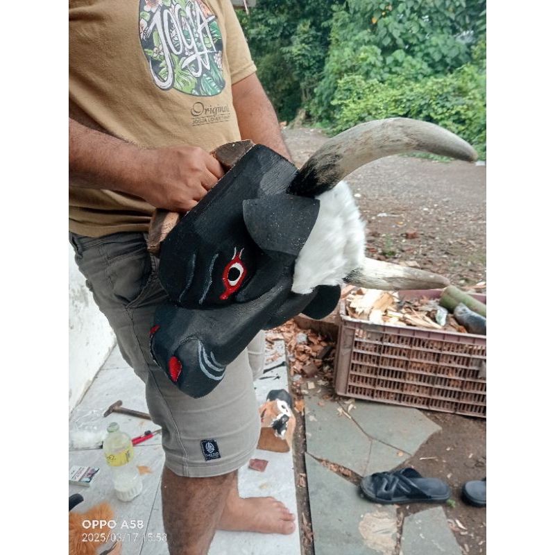 banteng dewasa tanduk sapi