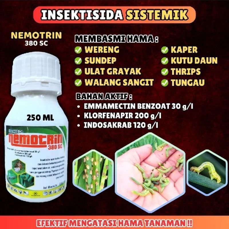 NEMOTRIN INSEKTISIDA 380 sc obat pembasmi hama & gulma rumput liar padi racun ulat paling ampuh