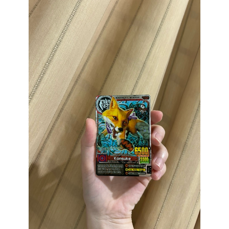 (ORI) kartu animal kaiser