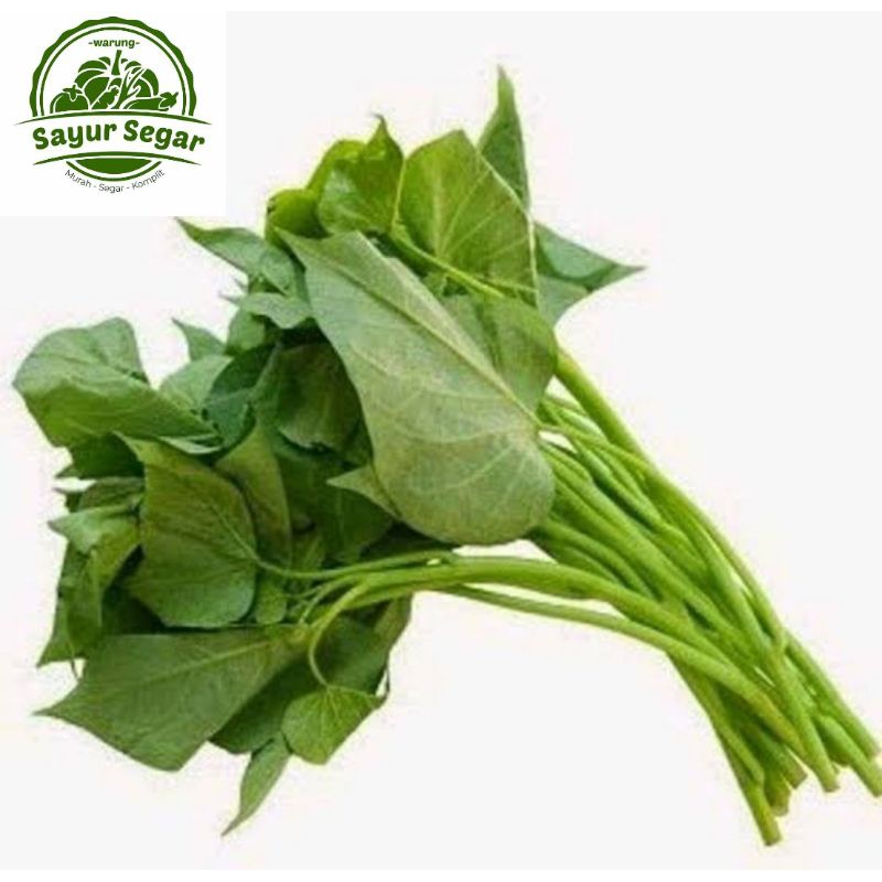 

Daun Ubi - Per Ikat