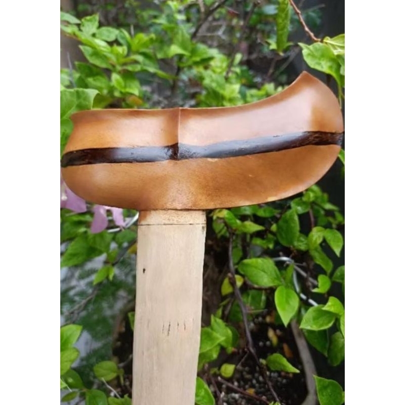 warangka kayu timoho kendit