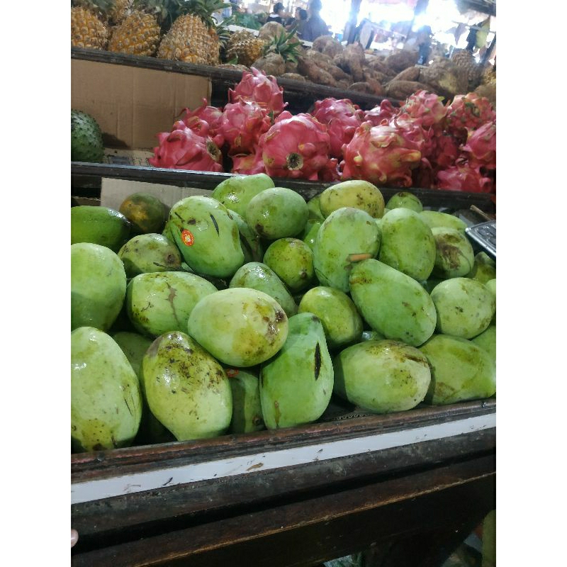 

Mangga Cengkir Segar 1 Kg – Manis, Segar, dan Siap Santap!