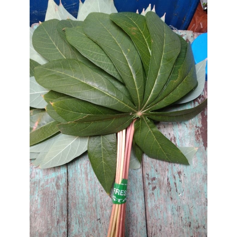 

Daun Singkong Segar | PREMIUM