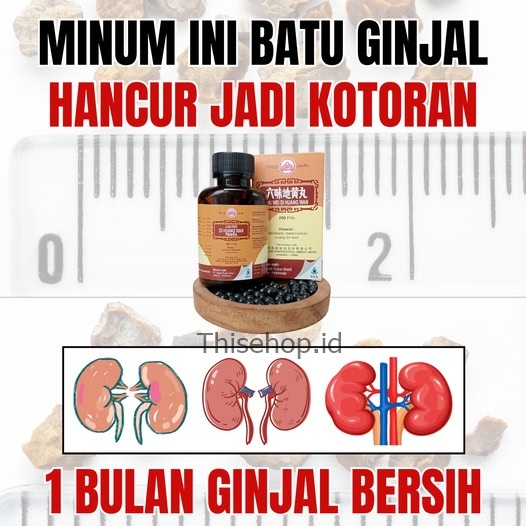 Obat Herbal Cina Liu Wei Di Huang Wan untuk Mengatasi Batu Ginjal, Kencing Di Malam Hari, Badan Lema