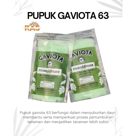 GAVIOTA PUPUK PEMBUNGAAN DAN PERTUMBUHAN