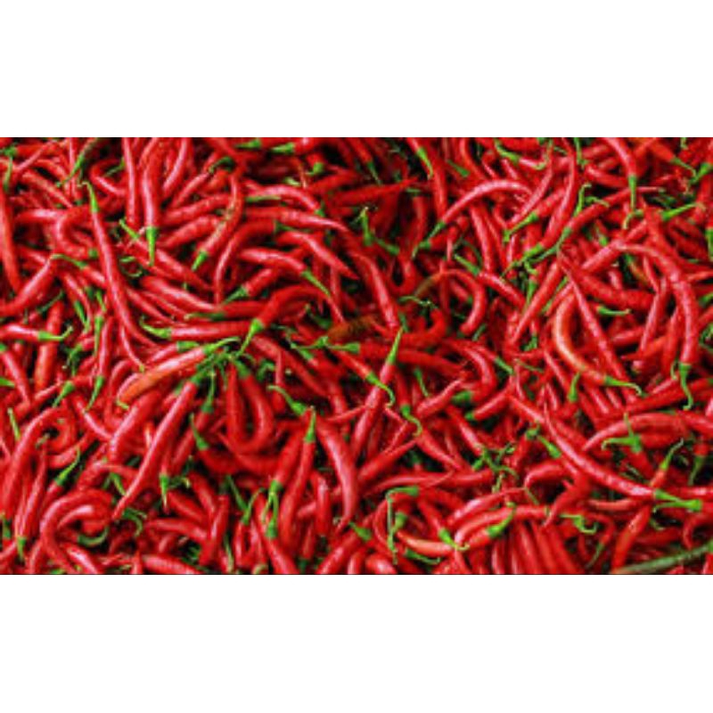 

cabe merah