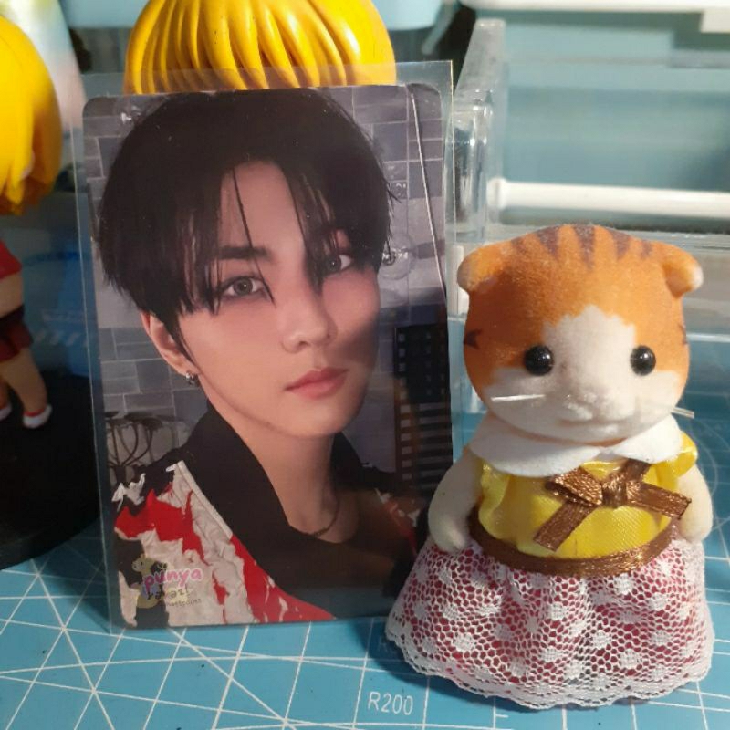 [baca desk] wts photocard jungwon enhypen yzy romance untold