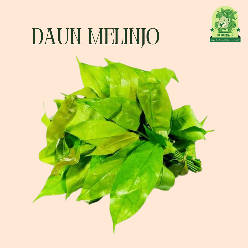 

Daun Melinjo 100 Gram