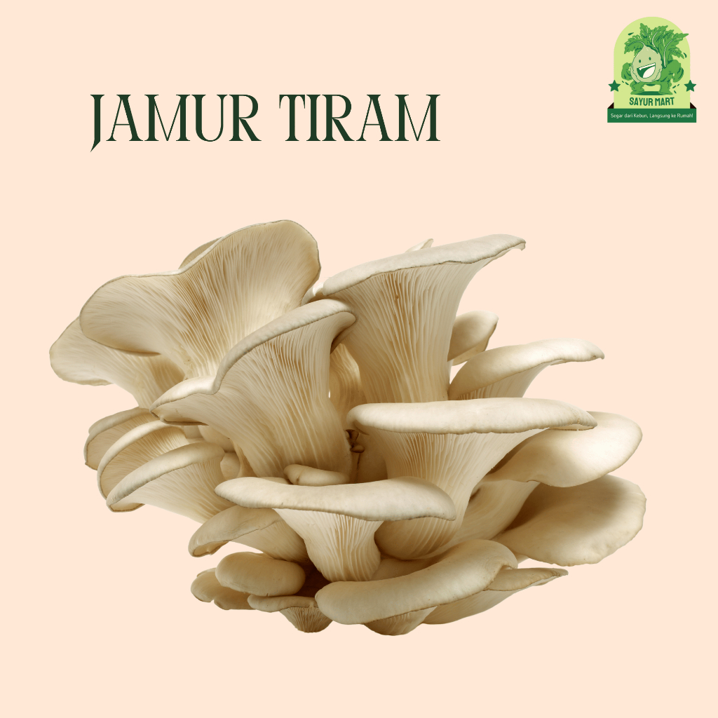 

Jamur Tiram 200 Gram