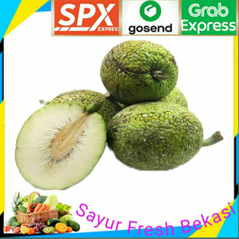 

Buah Sukun Perbiji 500g.