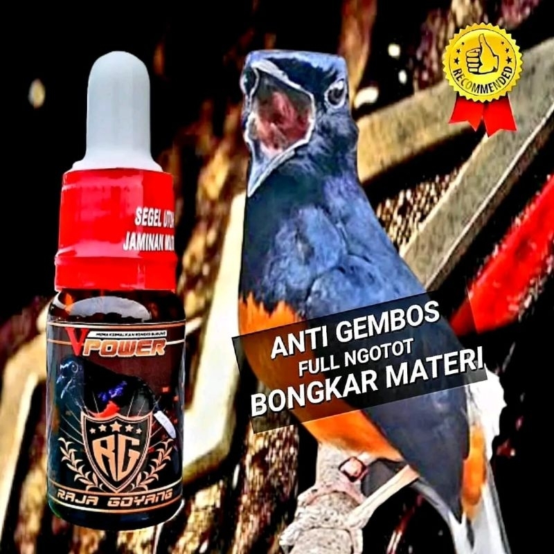 v-power/v power/vpower/SUPLEMEN BURUNG MURAI/RAJA GOYANG/RG/MURAI BATU/MURAI BORDAN/MURAI BURNEO/MUR