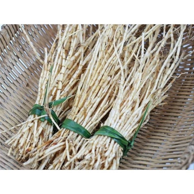 

akar alang-alang segar fresh dadakan per 100 grm