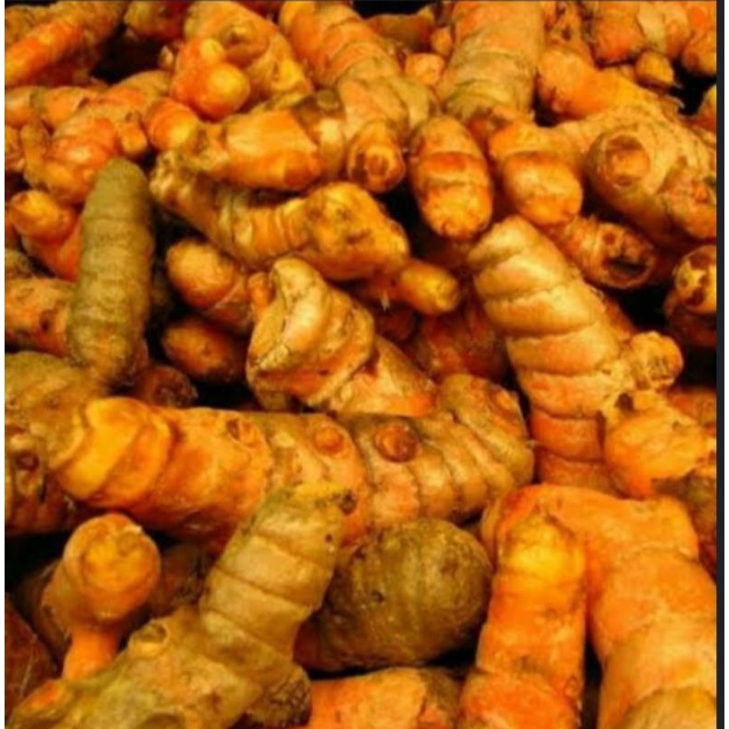 

kunyit kuning per 1kg