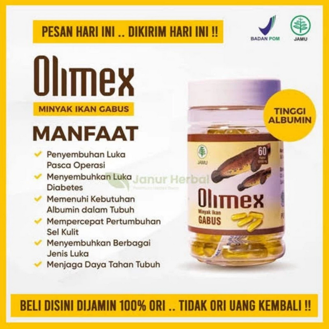 Olimex Kapsul Ikan Gabus 60 Kapsul Pil Ikan Gabus Asli