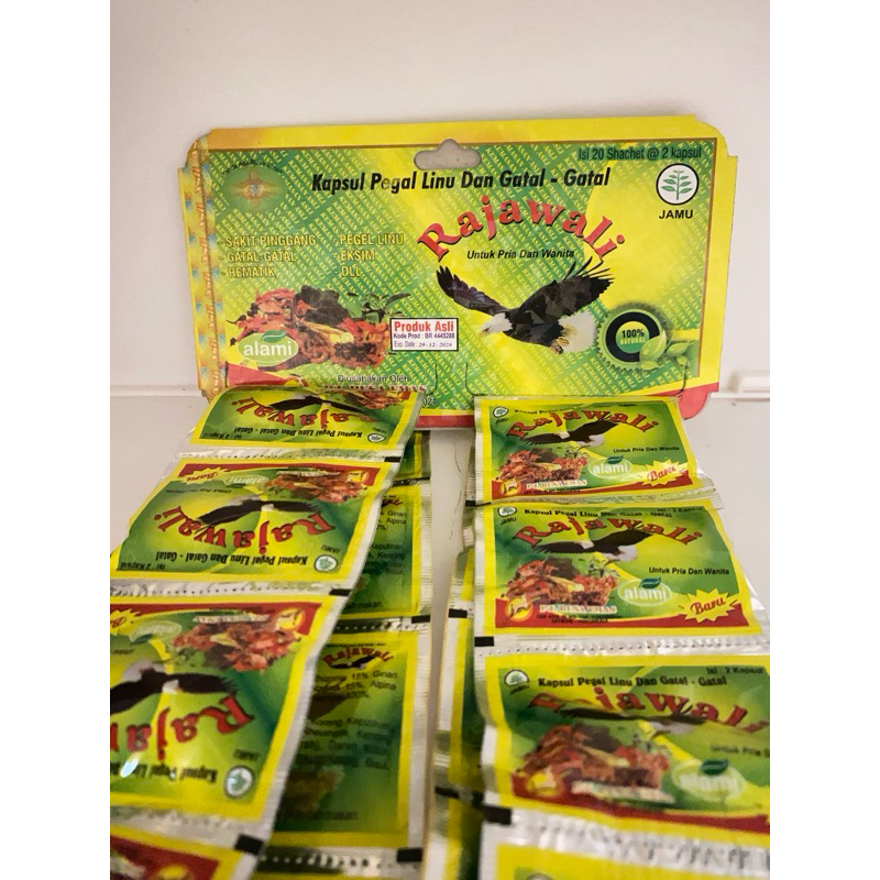 KAPSUL RAJAWALI