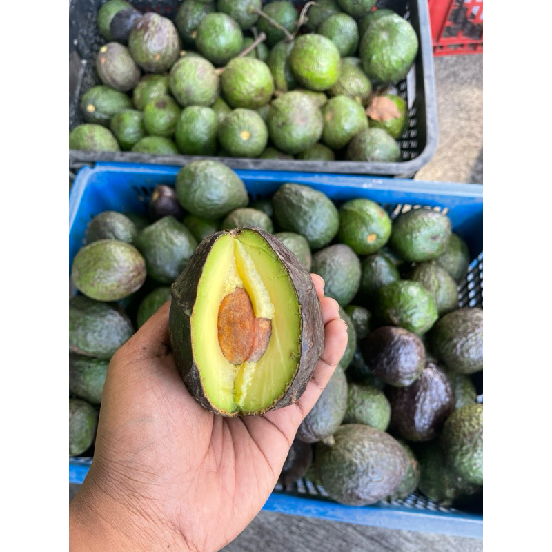 

ALPUKAT HASS 1kg DAPAT 3-5 BIJI JAMINAN RASA ENAK PUNEL HARGA MURAH