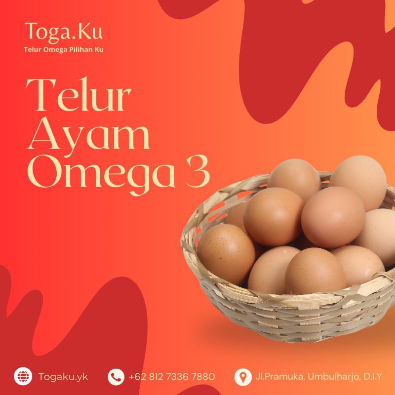 

Telur Ayam Omega 3 Premium Isi 6 10 15 Mika Egg Tray
