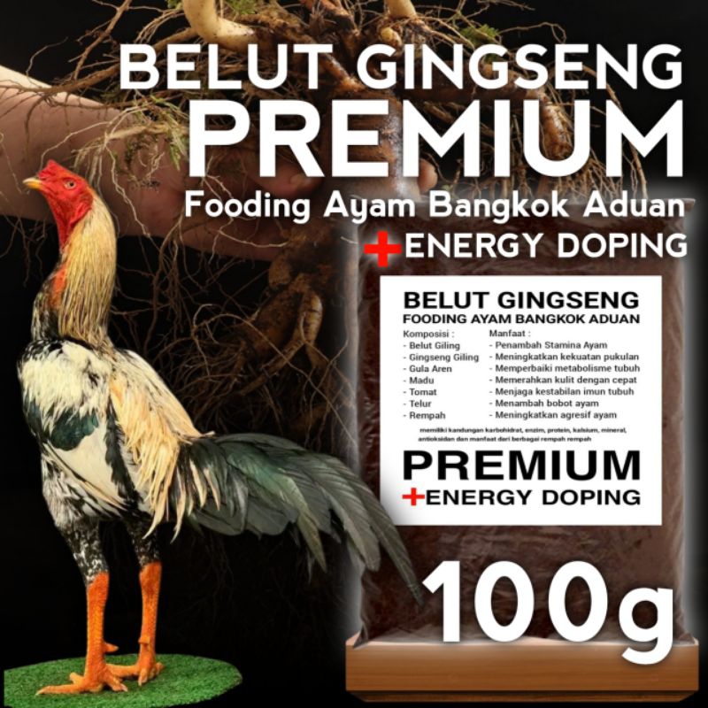Belut Gingseng Premium Fooding Ekstra Ayam Aduan