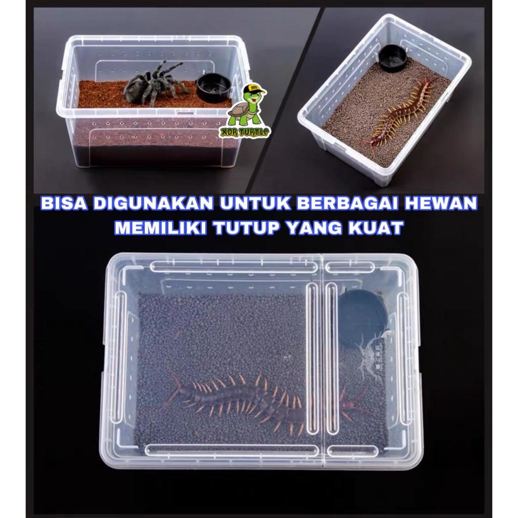 KANDANG BOX REPTIL HAMSTER KURA LEOPARD GECKO TARANTULA PACMAN ISOPOD KODOK DART FROG