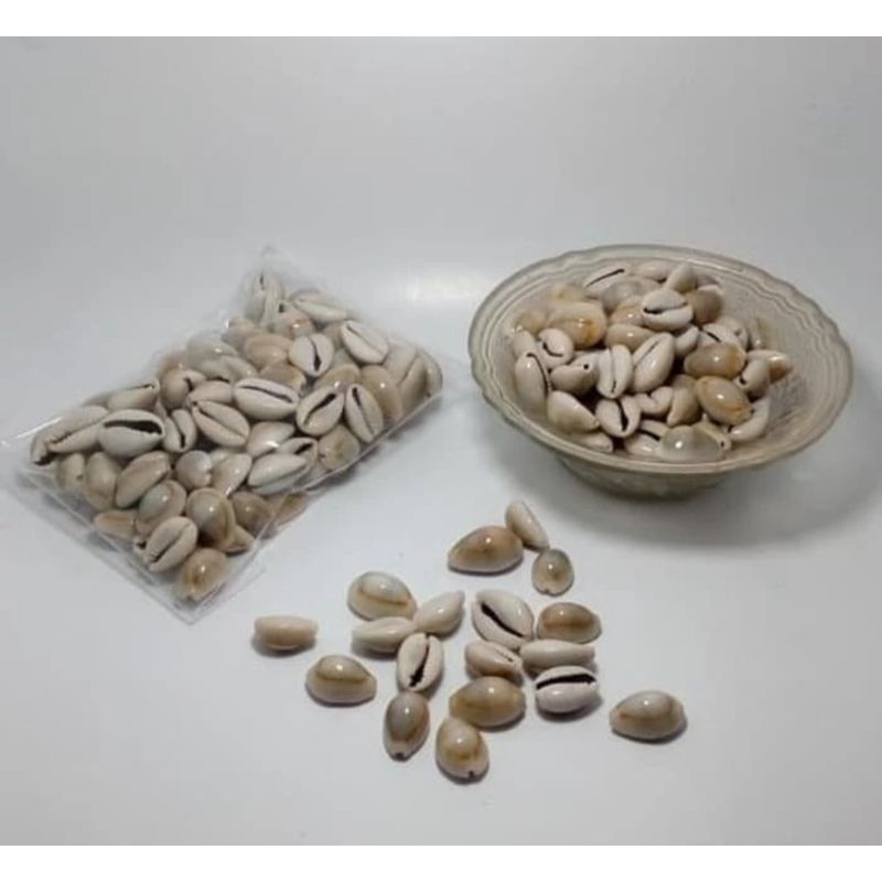 Mainan Tradisional Biji Congklak Kerang Asli Kuwuk