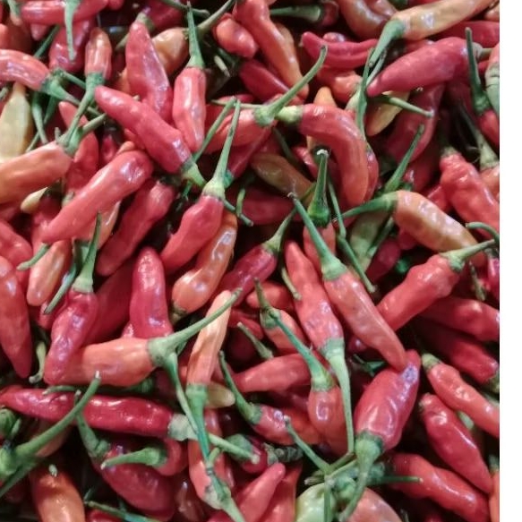 

Rawit merah 350gr Asli (original)