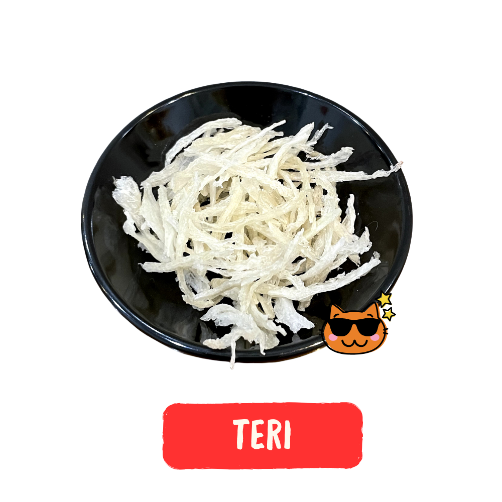 

Sarang Burung Walet / Bird Nest / Yan Wo / Yen Wo / 燕窝 - Teri