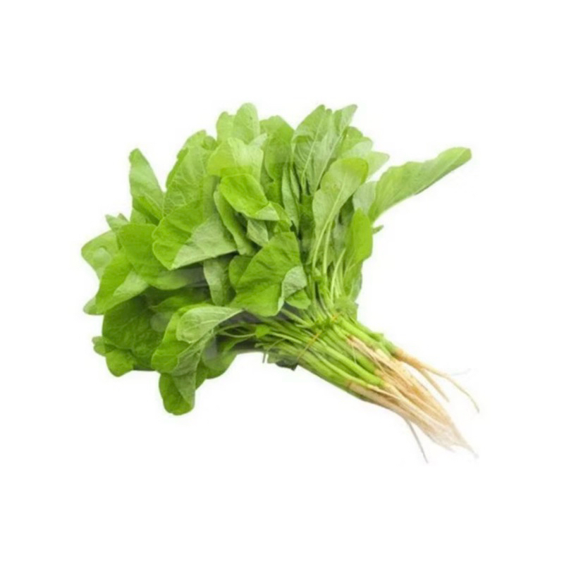 

[INSTAN] Bayam Sayur Segar per Ikat