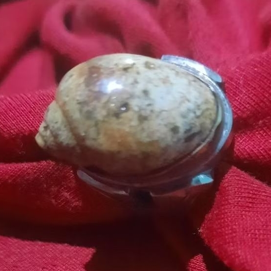 BATU AKIK KEONG/KOL BUNTET