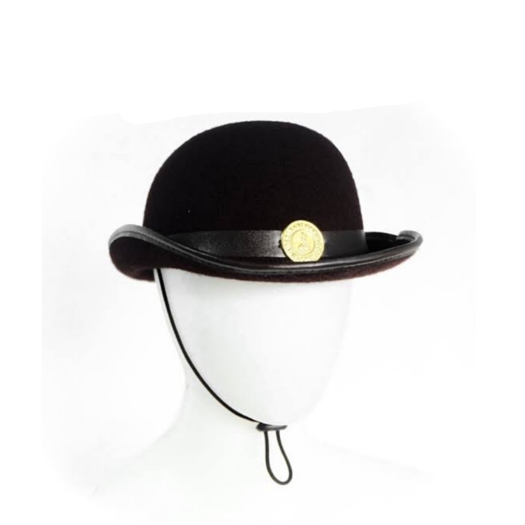 Grosir Setelan Seragam Pramuka Sd Panjang Anak Perempuan Kelas 1-6 Sd Free Atribut Pramuka & Topi