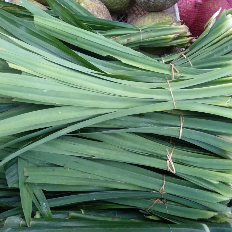 

Daun Pandan Segar 1 Ikat 1 Iket Seger Fresh