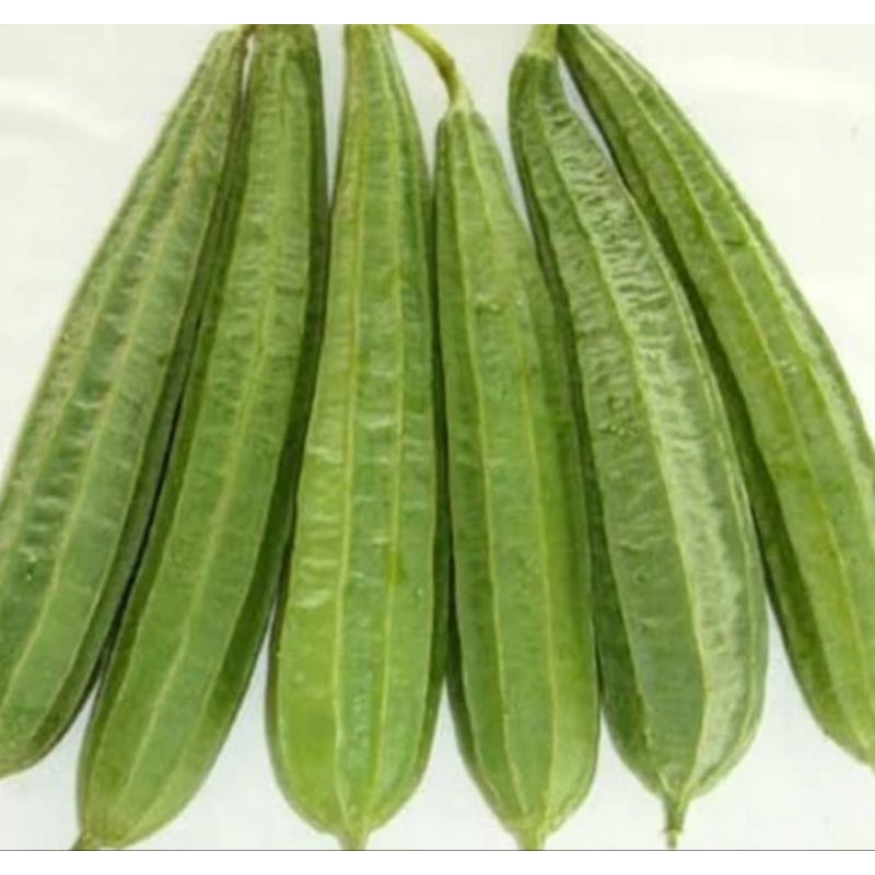 

sayur oyong/gambas,500g,1kg