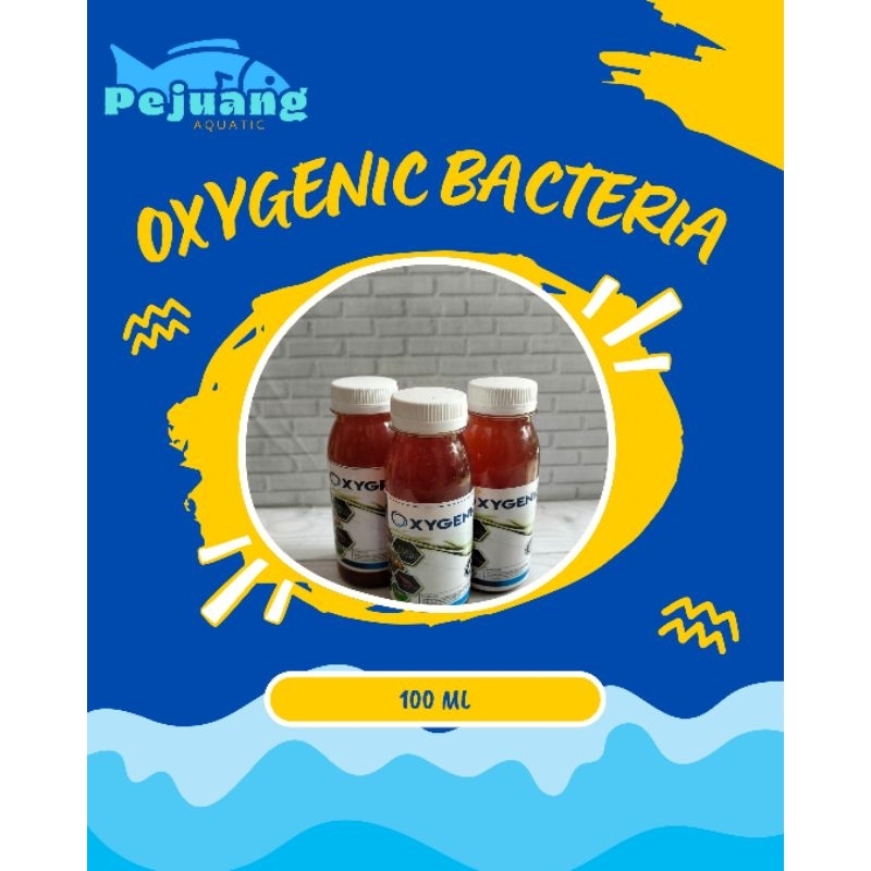 Oxygenic Bakteri Cair 100ml