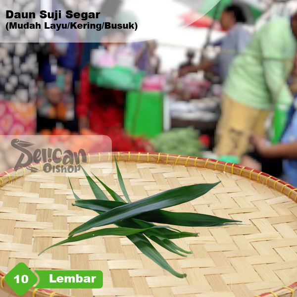 

Daun Suji Segar 10 Lembar Pewarna Alami Hijau Makanan Obat Herbal