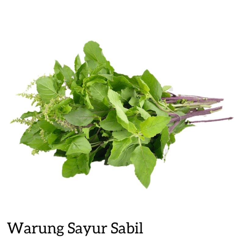 

Daun Kemangi Per Ikat