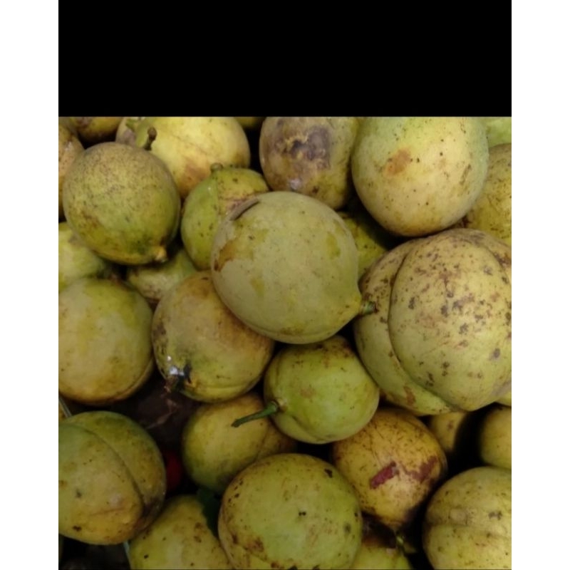 

PROMO BUAH PALA TUA SEGAR FRESS 1KG