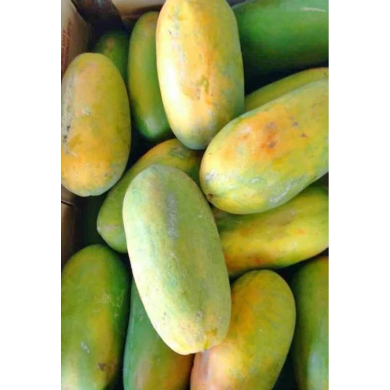 

pepaya california madu 1buah