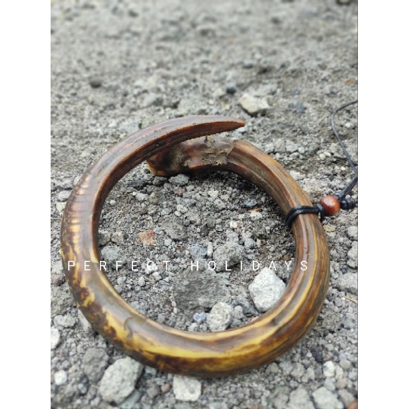 kalung model taring ngurak melingkar besar bisa buat gelang orang dewasa