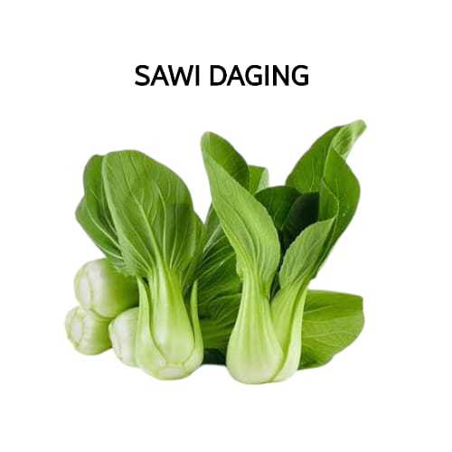 

Pakcoy Sawi Daging Segar Hidroponik