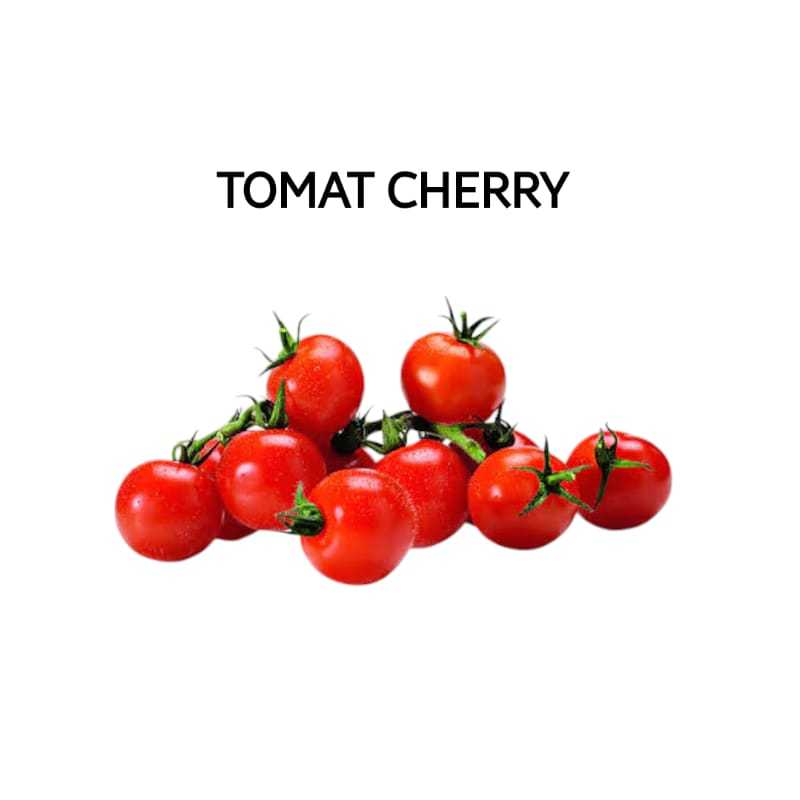 

Tomat Cherry Segar Fresh Organik