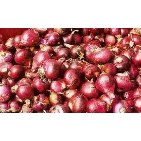 

BAWANG MERAH GROSIR 1KG TERMURAH BISA KIRIM SELURUH INDONESIA