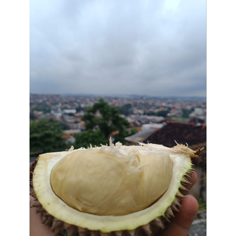 

durian 1 keping