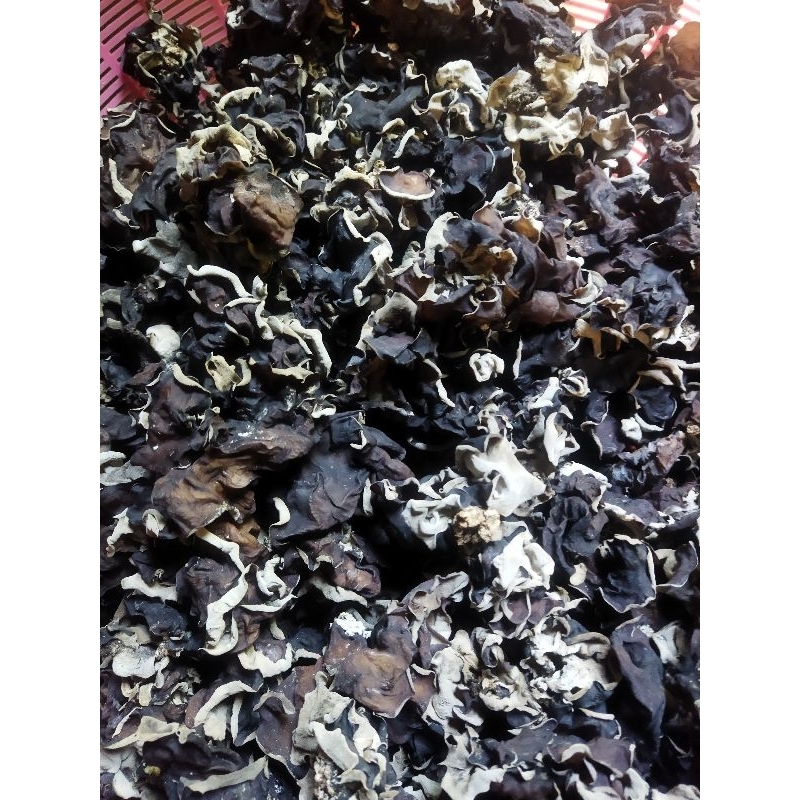 

Jamur Kuping Kering Langsung dari Petani