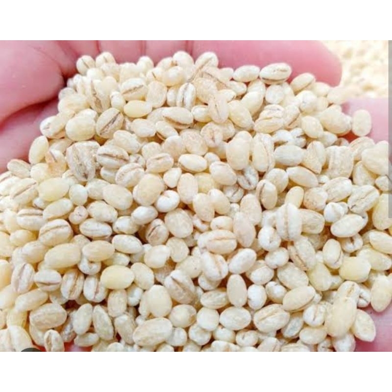 

Barley / Jali-jali 500gr