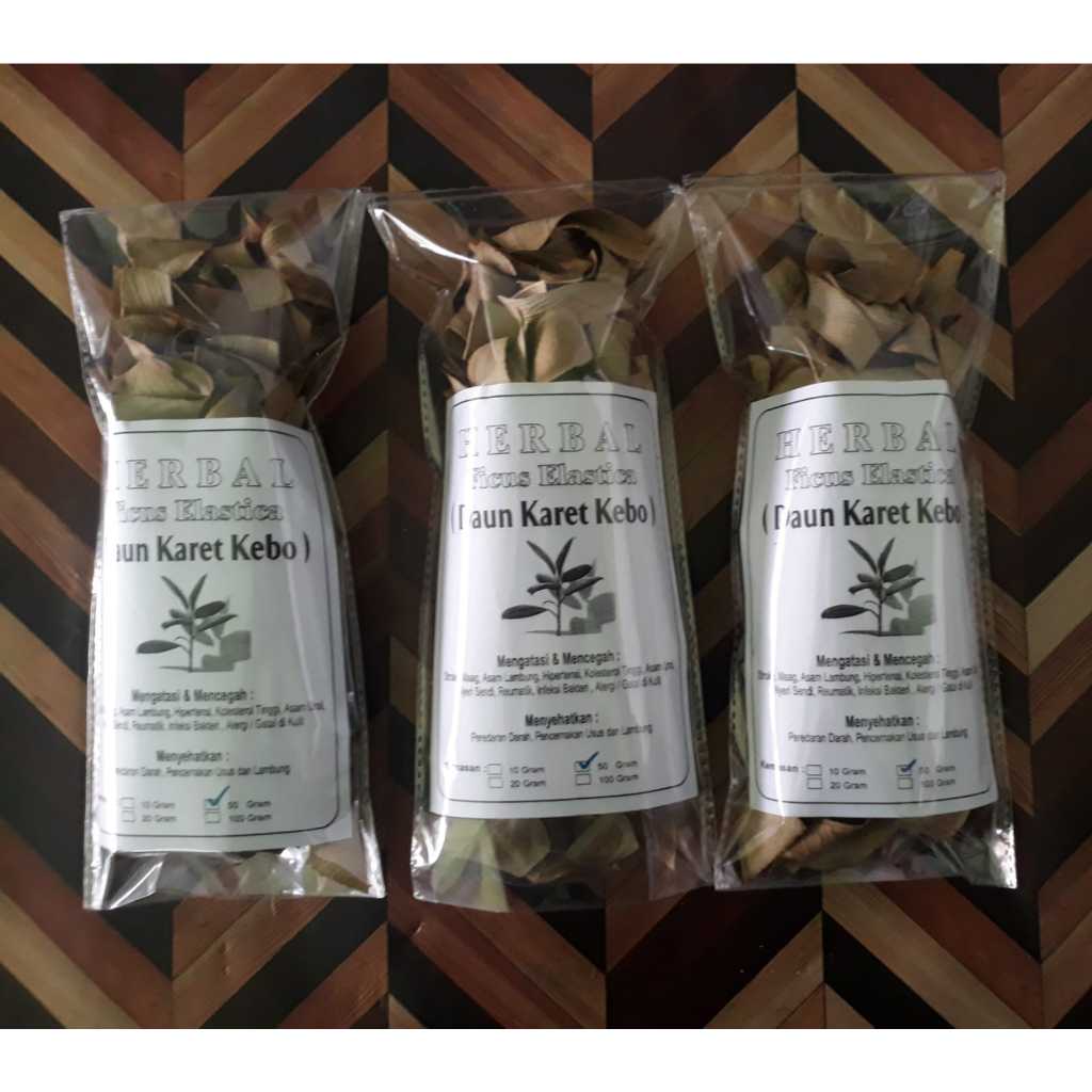 Daun Karet Kebo Kering Siap Seduh 50 Gr