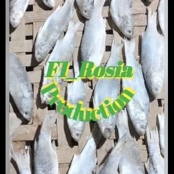 

2000Gram/2kg.Ikan.Asin.Belanak.Plus.Bonus.ikan.asin.lain